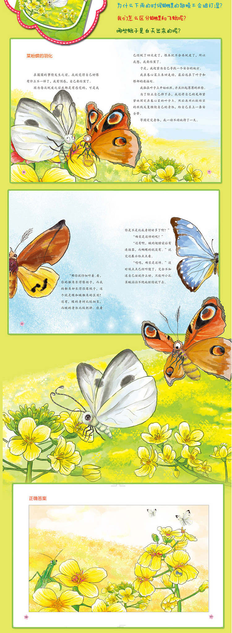 ȫ5